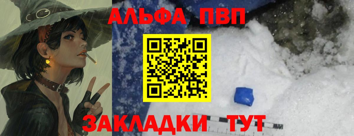 Альфа ПВП СК Йошкар-Ола