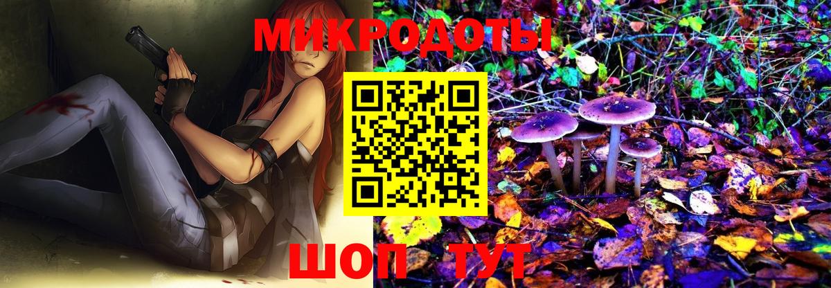Йошкар-Ола  Псилоцибиновые грибы GOLDEN TEACHER  Вход с VPN  Псилоцибиновые грибы Cubensis 